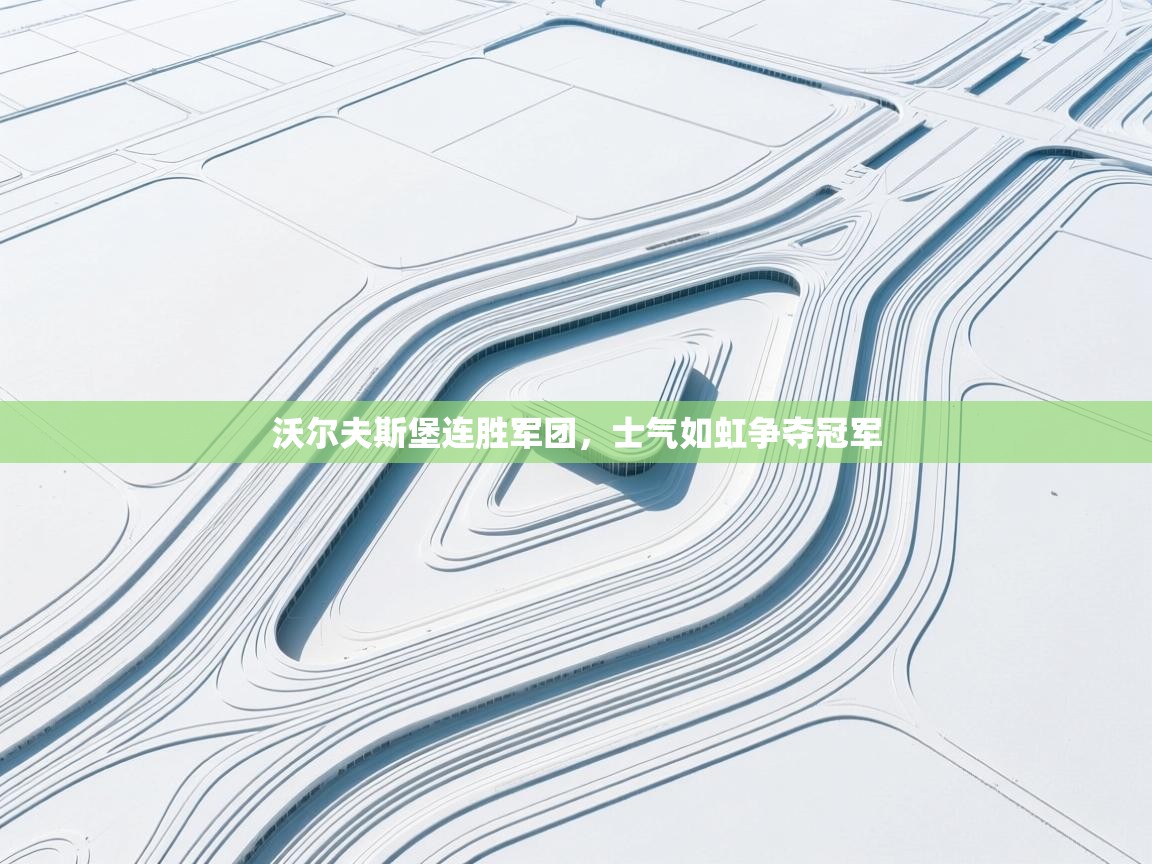 沃尔夫斯堡连胜军团,士气如虹争夺冠军 第1张