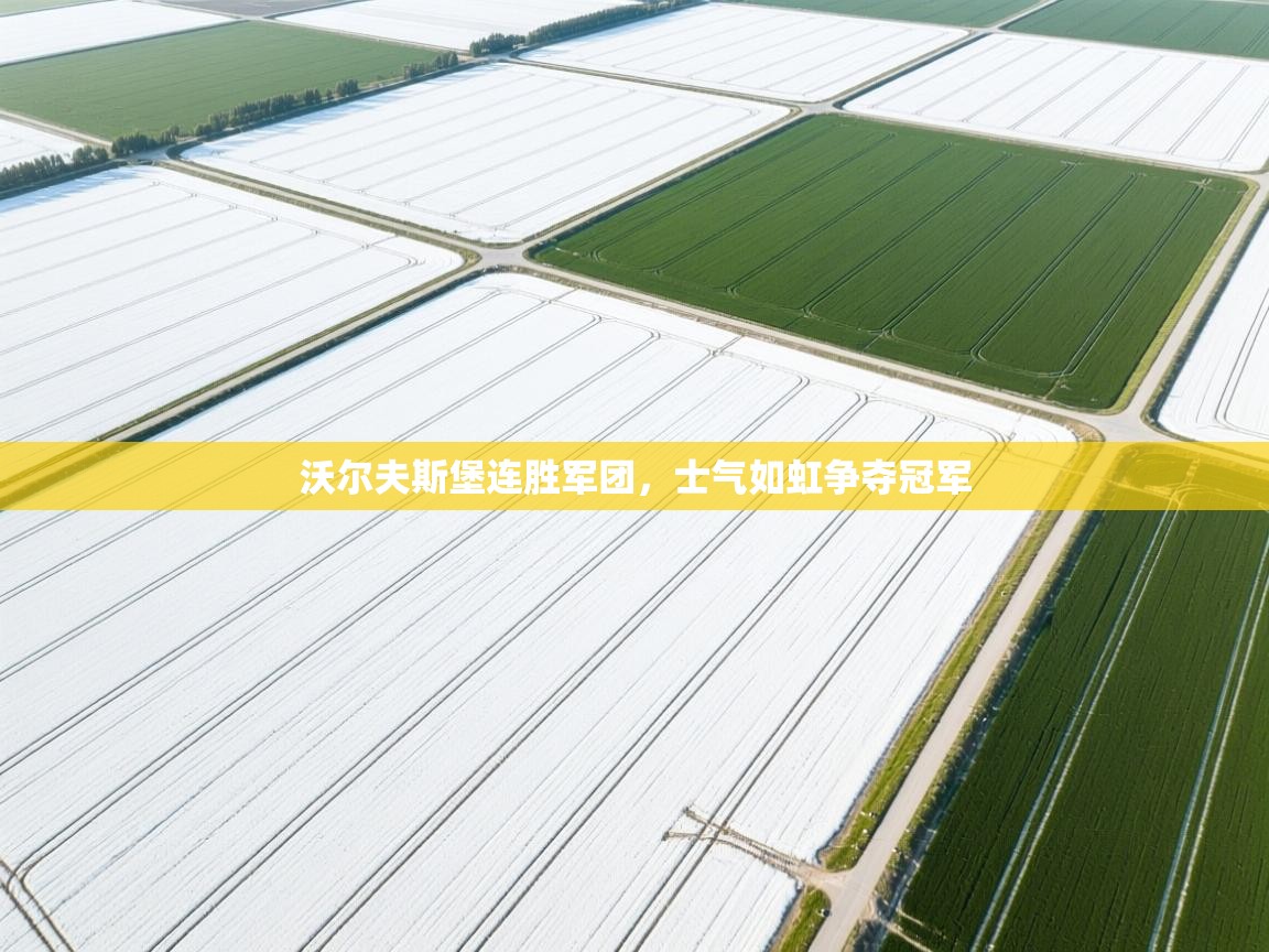 沃尔夫斯堡连胜军团,士气如虹争夺冠军 第2张