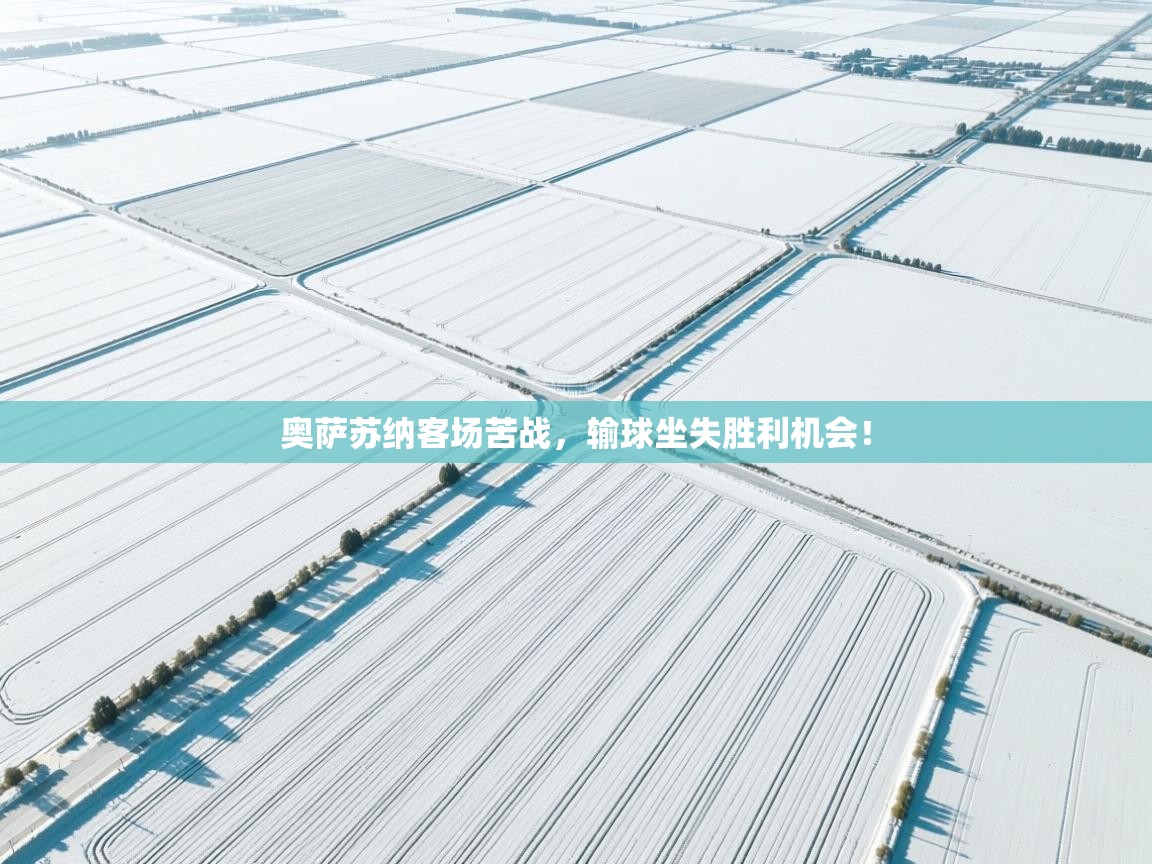 奥萨苏纳客场苦战，输球坐失胜利机会！