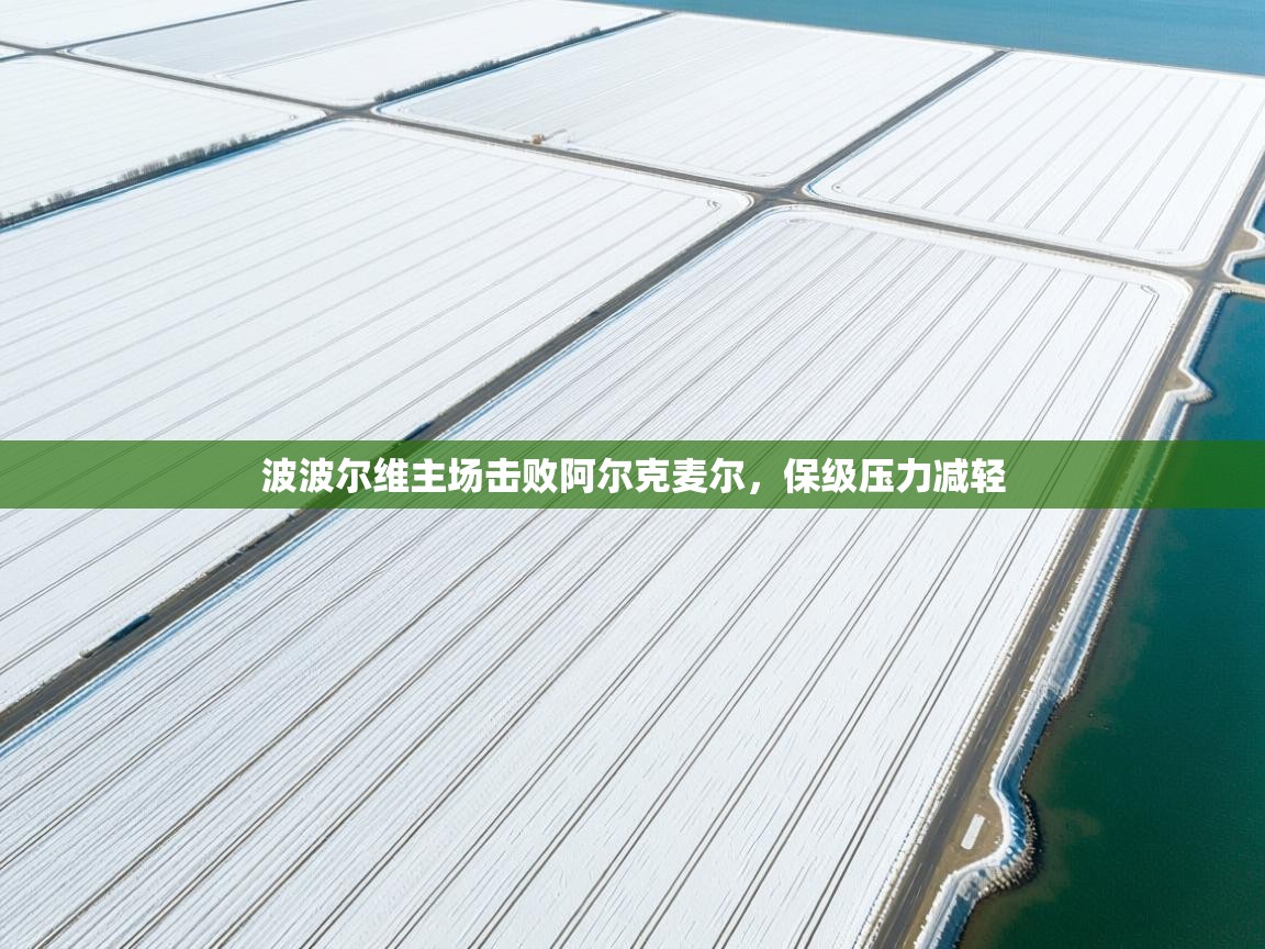 波波尔维主场击败阿尔克麦尔，保级压力减轻