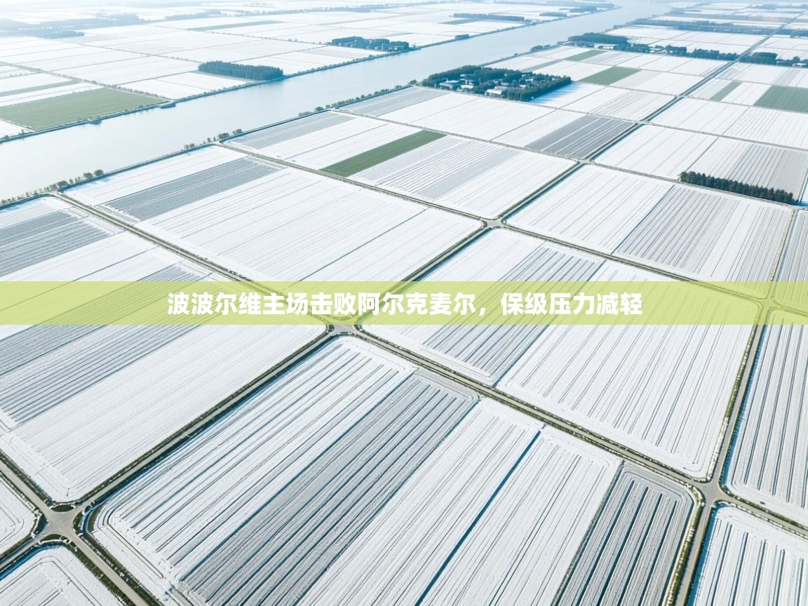 波波尔维主场击败阿尔克麦尔，保级压力减轻