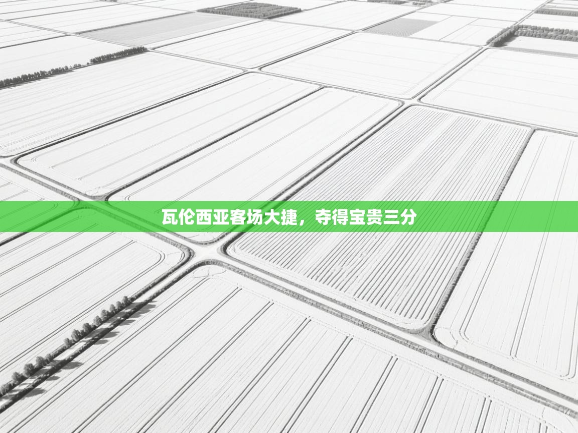 瓦伦西亚客场大捷，夺得宝贵三分  第2张