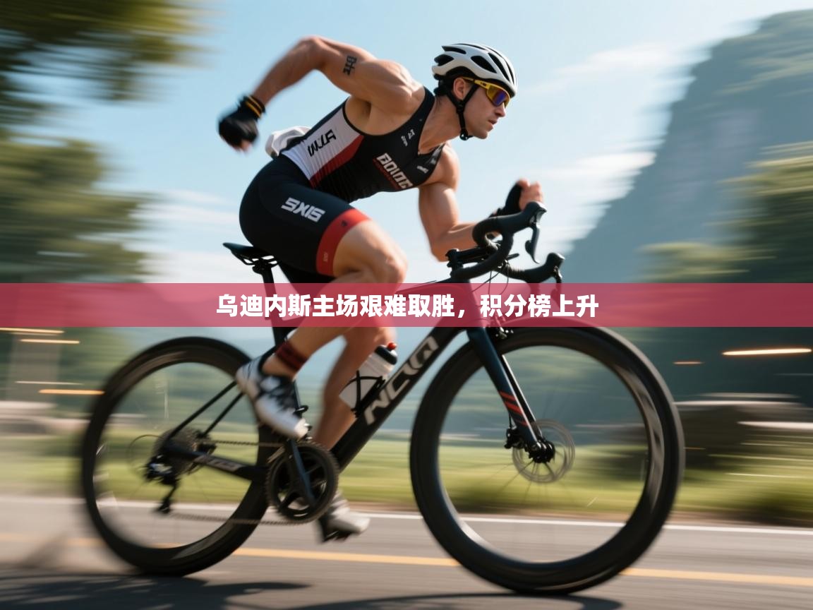 乌迪内斯主场艰难取胜，积分榜上升