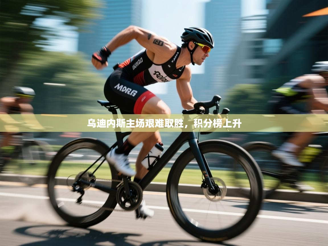 乌迪内斯主场艰难取胜，积分榜上升